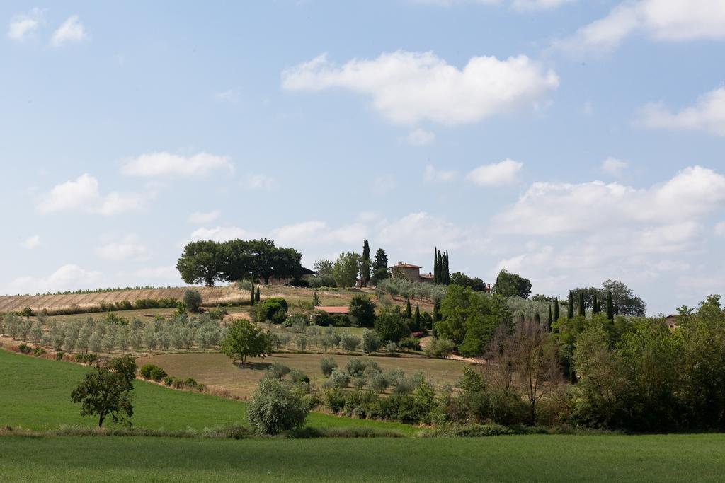 Вилла Agriturismo Cignan Rosso Кастелина ин Шианти Экстерьер фото